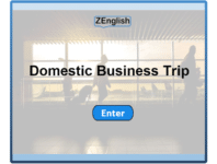 Domestic Business Trip