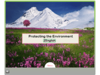 The Environment