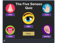 The Five Senses