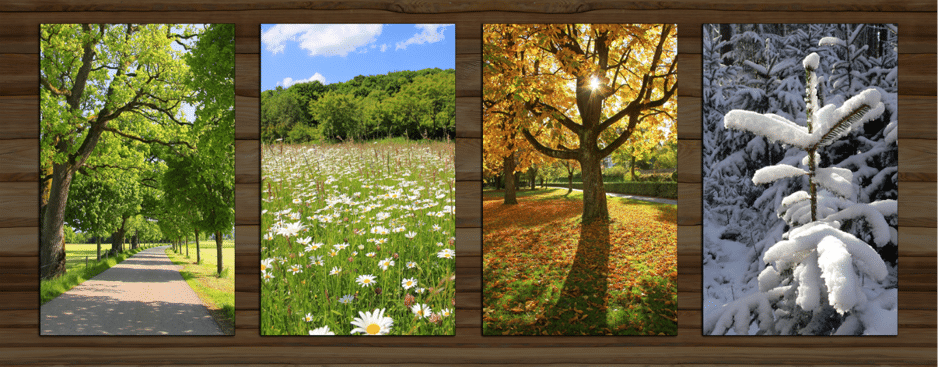 Four Seasons