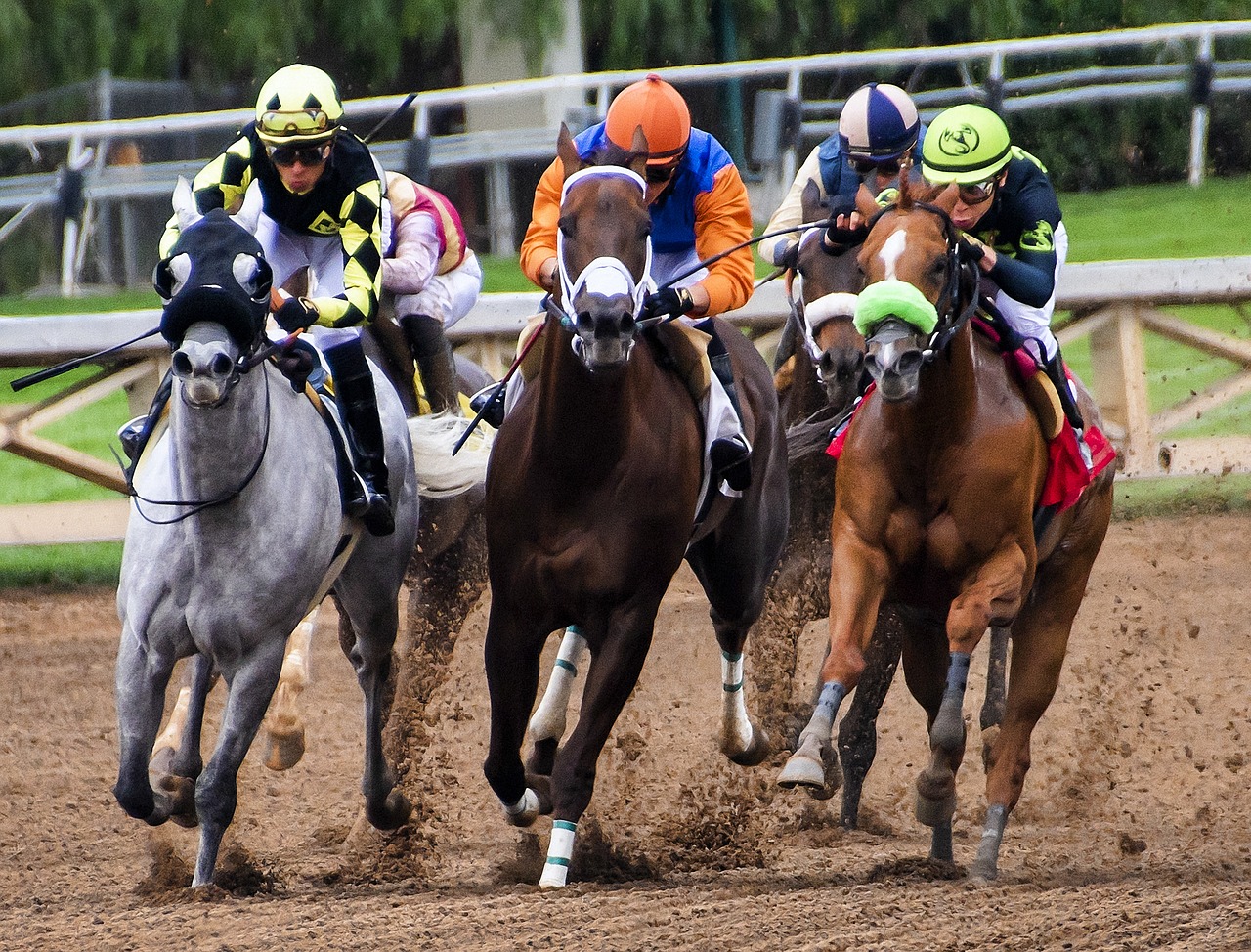 Horse Site Pic