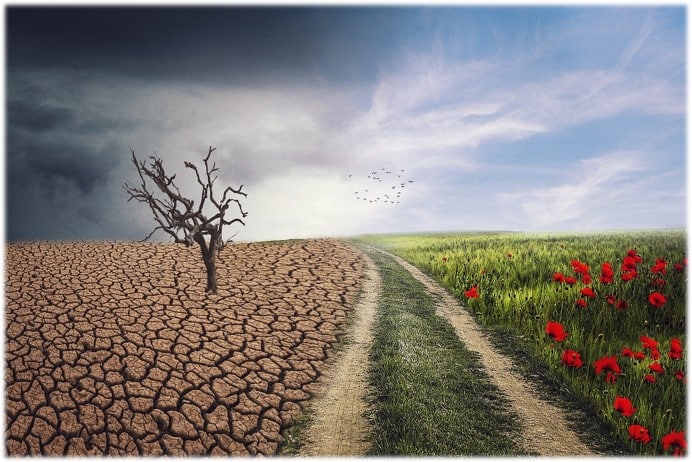 Climate Site Pic