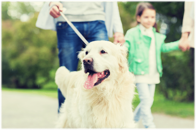 Pets Site Pic
