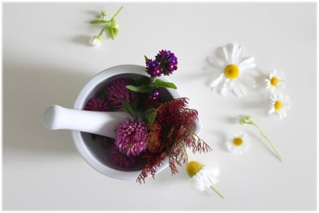 Remedies Site Pic