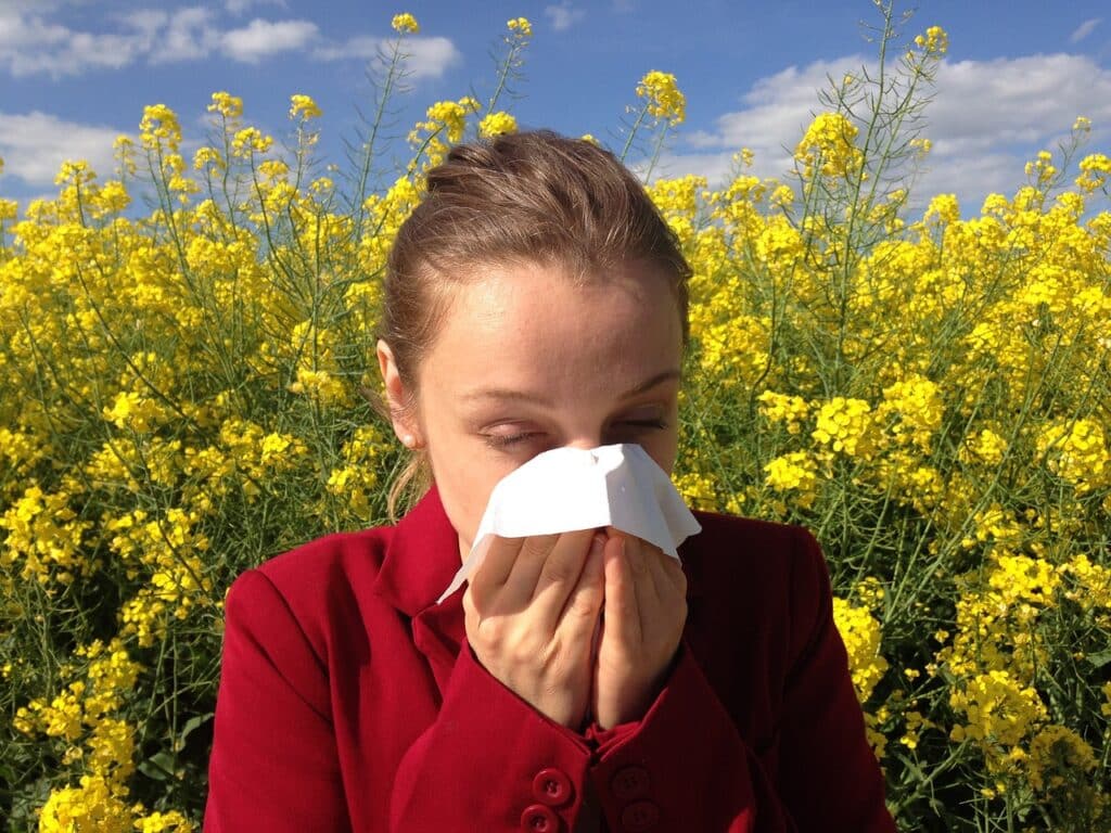 Allergies Site Pic