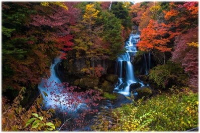 Autumn in Japan Site Pic