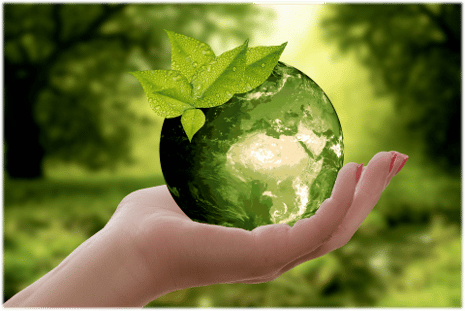 Protecting the Environment Site Pic