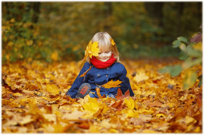 Changing Seasons Site Pic
