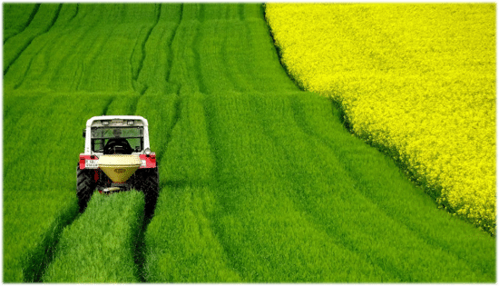 Agricultural Industry Site Pic