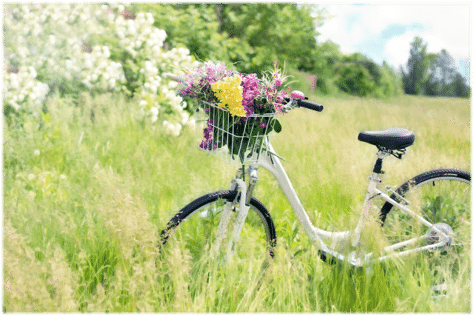 Spring Has Sprung