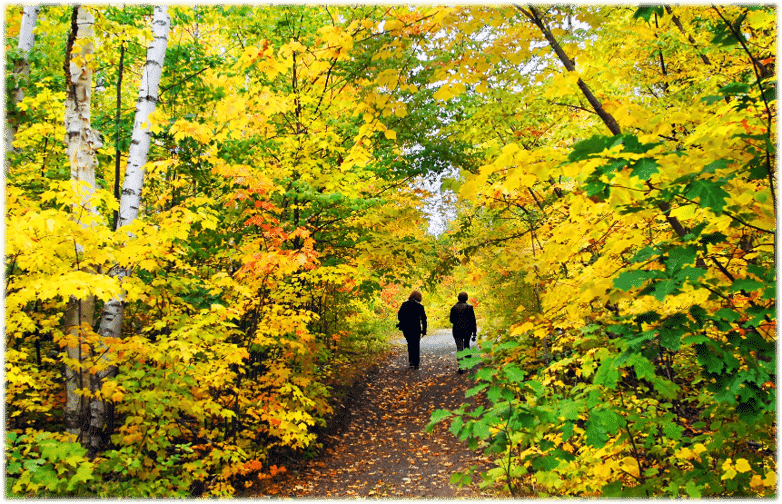 Autumn